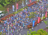 2026灵通铜陵半程马拉松鸣枪开跑！一“铜”奔赴热爱