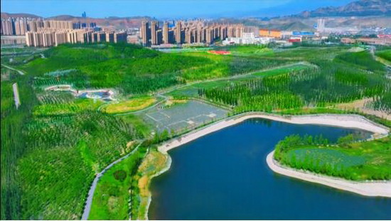 喜讯！首届新疆大学生元气音乐节暨紫金城市音乐节来了!