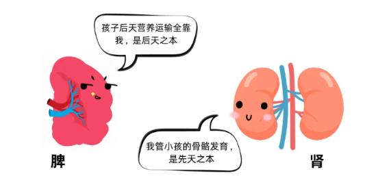 东方有田海参|小参板：一年之计在于春，助力孩子长高正当时