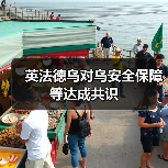 英法德乌对乌安全保障等达成共识