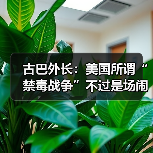 古巴外长:美国所谓“禁毒战争”不过是场闹剧 古巴外长:美国所谓“禁毒战争”不过是场闹剧