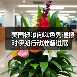 美国被曝向以色列通报对伊朗行动准备进展