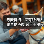 丹麦首相：没有所谓格陵兰岛协议 领土主权是红线