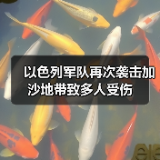 以色列军队再次袭击加沙地带致多人受伤