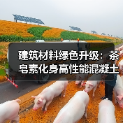 建筑材料绿色升级：茶皂素化身高性能混凝土引气剂