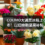 COLMO大满贯冰箱上市！以旧换新至高补贴2000元，国家助力品质升级！