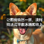 让厨房焕然一新，澳柯玛法式平嵌冰箱即将上市