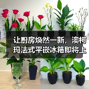 让厨房焕然一新，澳柯玛法式平嵌冰箱即将上市
