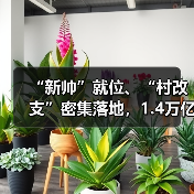 “新帅”就位、“村改支”密集落地，1.4万亿中原银行的转型棋局