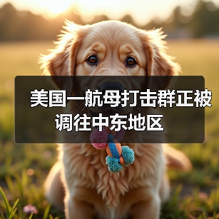 美国一航母打击群正被调往中东地区