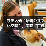 寺锦入选“最美公共文化空间”，荣获“百佳公共文化空间奖”！