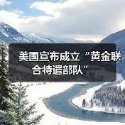 美国宣布成立“黄金联合特遣部队”