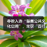 寺锦入选“最美公共文化空间”，荣获“百佳公共文化空间奖”！