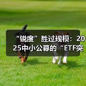 “锐度”胜过规模：2025中小公募的“ETF突围战”
