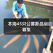 本周45只公募新品启动募集