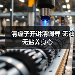 清虚子开讲清调养 无油无盐养身心