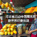 河北省启动中国舞吉尼斯世界纪录挑战