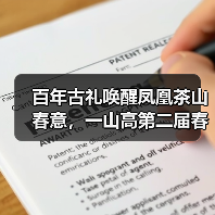 百年古礼唤醒凤凰茶山春意，一山高第二届春茶文化节盛大启幕