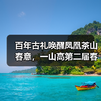 百年古礼唤醒凤凰茶山春意，一山高第二届春茶文化节盛大启幕