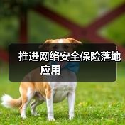 推进网络安全保险落地应用 推进网络安全保险落地应用