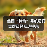 美国“林肯”号航母打击群已经抵达中东