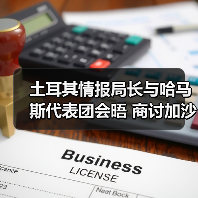 土耳其情报局长与哈马斯代表团会晤 商讨加沙停火第二阶段