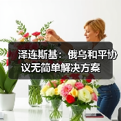 泽连斯基：俄乌和平协议无简单解决方案