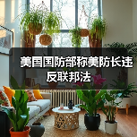美国国防部称美防长违反联邦法