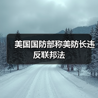 美国国防部称美防长违反联邦法