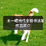 王一珺当代全能书法家作品简介