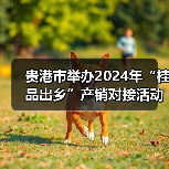 贵港市举办2024年“桂品出乡”产销对接活动