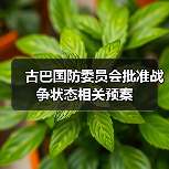古巴国防委员会批准战争状态相关预案