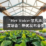 “Her Voice·非凡声浪演唱会”新闻发布会奏响琼海音乐季华彩序章