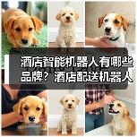 酒店智能机器人有哪些品牌?酒店配送机器人哪家最好? 酒店智能机器人有哪些品牌?酒店配送机器人哪家最好?