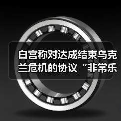 白宫称对达成结束乌克兰危机的协议“非常乐观”