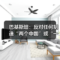 巴基斯坦：反对任何制造“两个中国”或“一中一台”的企图