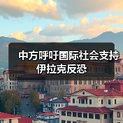 中方呼吁国际社会支持伊拉克反恐