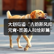 大划街道“古韵新风闹元宵·景美人和绘新篇” 元宵节主题活动圆满举行