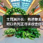 土耳其外长：有迹象表明以色列正寻求攻击伊朗