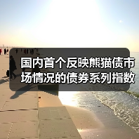 国内首个反映熊猫债市场情况的债券系列指数发布 吸引更多境外投资者参与我国债券市场