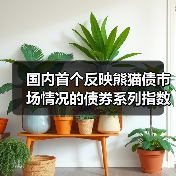 国内首个反映熊猫债市场情况的债券系列指数发布 吸引更多境外投资者参与我国债券市场