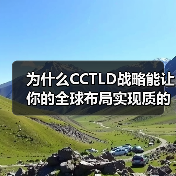 为什么CCTLD战略能让你的全球布局实现质的飞跃? 为什么CCTLD战略能让你的全球布局实现质的飞跃?