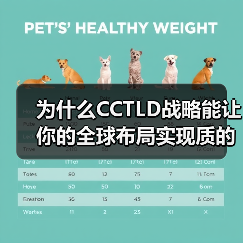 为什么CCTLD战略能让你的全球布局实现质的飞跃? 为什么CCTLD战略能让你的全球布局实现质的飞跃?