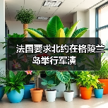法国要求北约在格陵兰岛举行军演