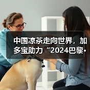 中国凉茶走向世界，加多宝助力“2024巴黎·恭王府服饰秀”弘扬中华文化