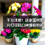 千万注意！这家蛋糕图片打印机口碑爆棚的供应商