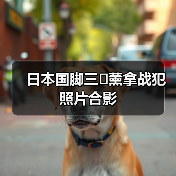 日本国脚三�薰拿战犯照片合影