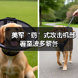 美军“鹞”式攻击机部署至波多黎各