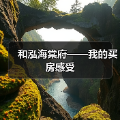 和泓海棠府——我的买房感受