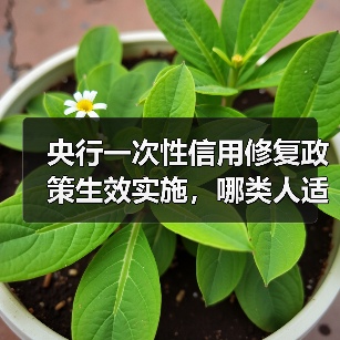 央行一次性信用修复政策生效实施，哪类人适用、该怎么操作？